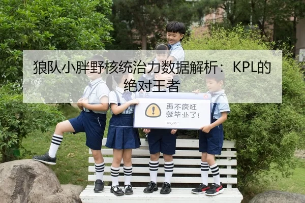 狼队小胖野核统治力数据解析：KPL的绝对王者