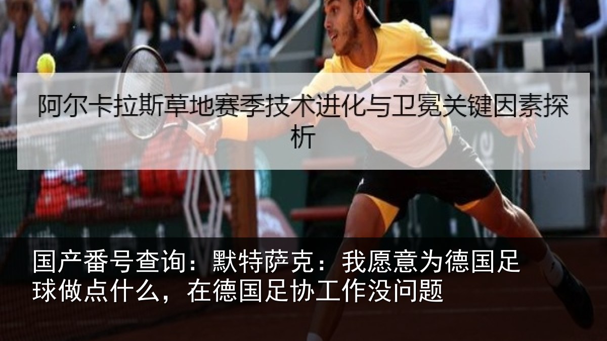 国产番号查询：默特萨克：我愿意相关情况么，在德国足协工作没问题