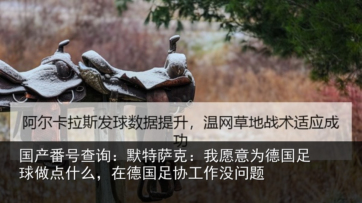 国产番号查询：默特萨克：我愿意相关情况么，在德国足协工作没问题