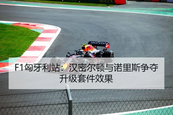 F1匈牙利站：汉密尔顿与诺里斯争夺升级套件效果