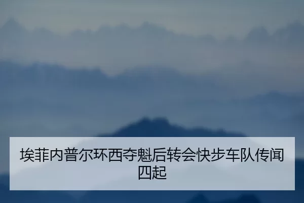 ai-fei-nei-pu-er-huan-xi-duo-kui-hou-zhuan-hui-kuai-bu-che-dui-chuan-wen-si-qi-3-956.jpg
