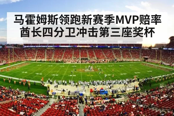 NFL stadium crowd